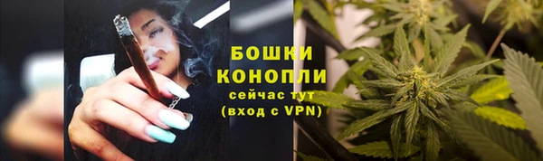 твердый Армянск