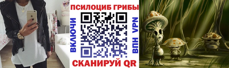 Галлюциногенные грибы Magic Shrooms Приволжск